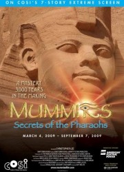 IMAX - Мумии: Секреты фараонов (2007)