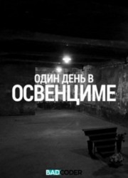 Discovery. Один день в Освенциме (2015)